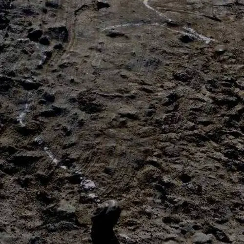 Of Noah : The Cheapest Dream